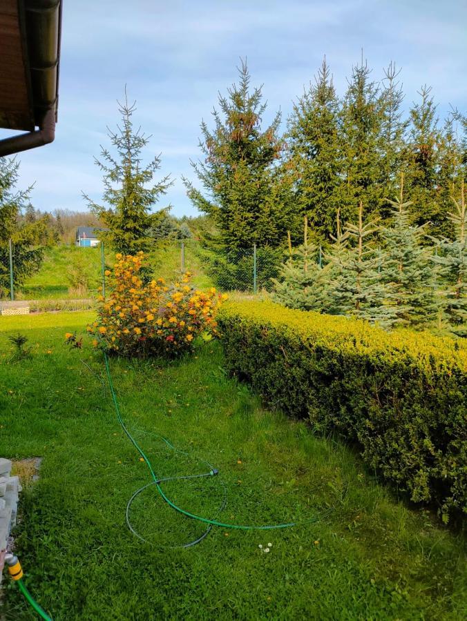 Cichy Zakatek Klodzko Appartement Buitenkant foto