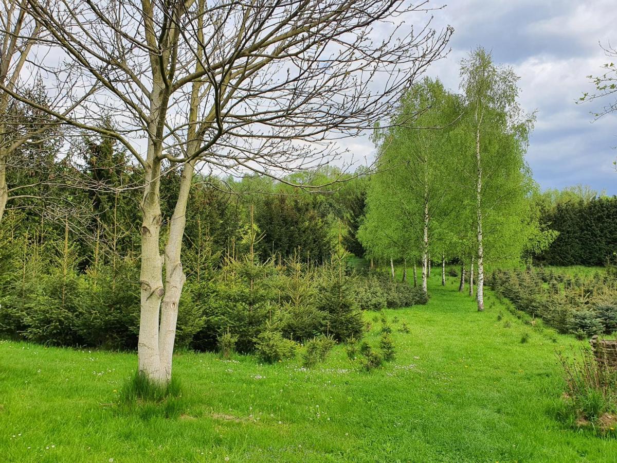 Cichy Zakatek Klodzko Appartement Buitenkant foto